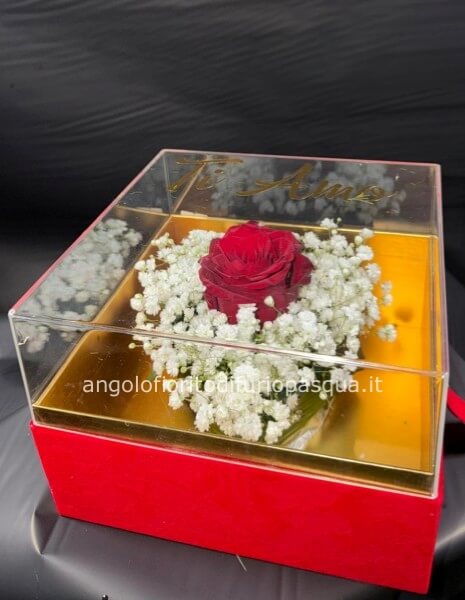 Cofanetto trasparente con rosa rossa e nebbiolina