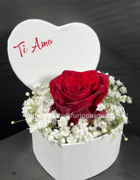 Cuore piccolo con rosa rossa e nebbiolina